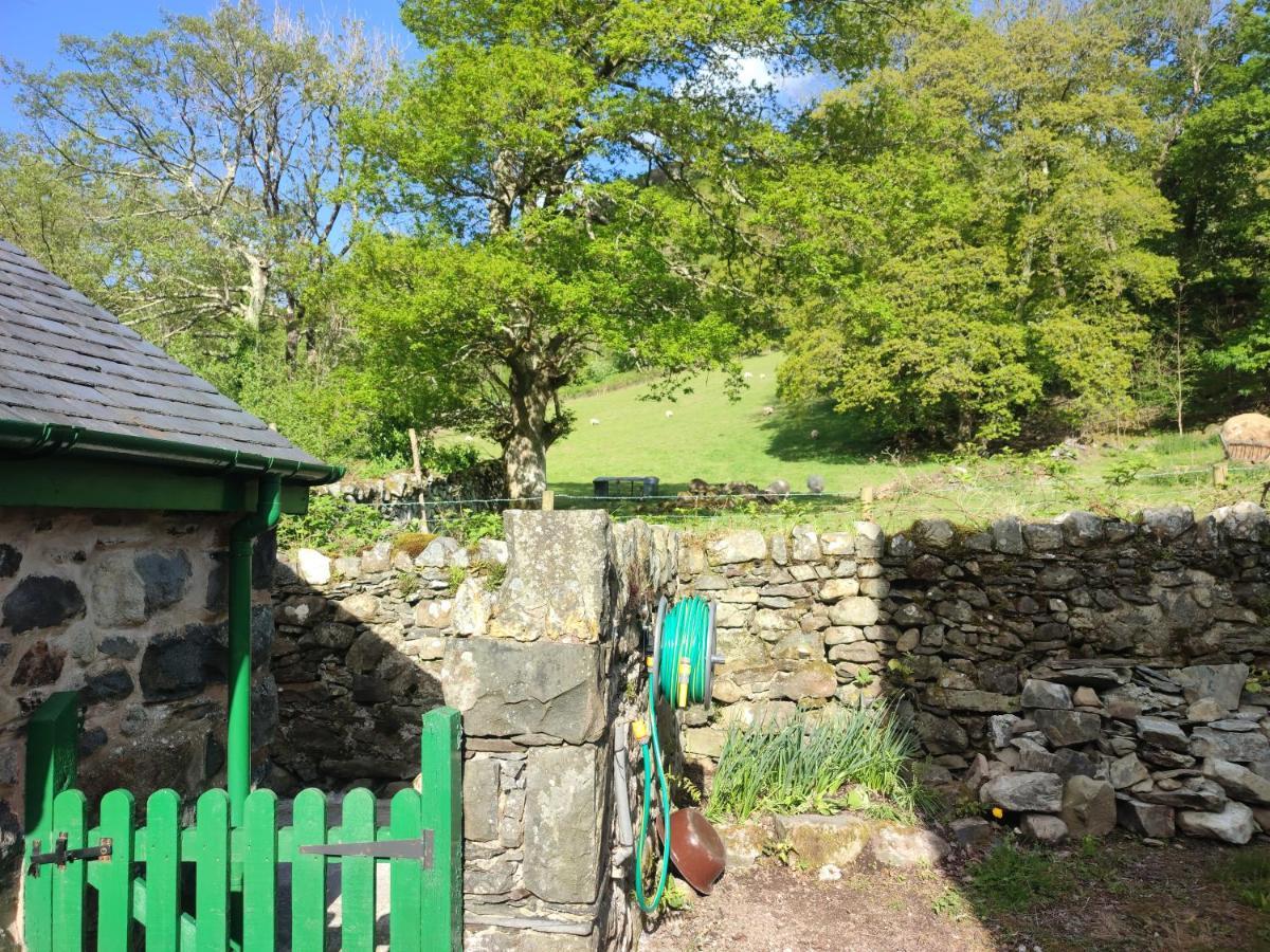 Y Gribyn - Modern Stone Cottage Within Snowdonia'S National Park Dolgellau Zewnętrze zdjęcie