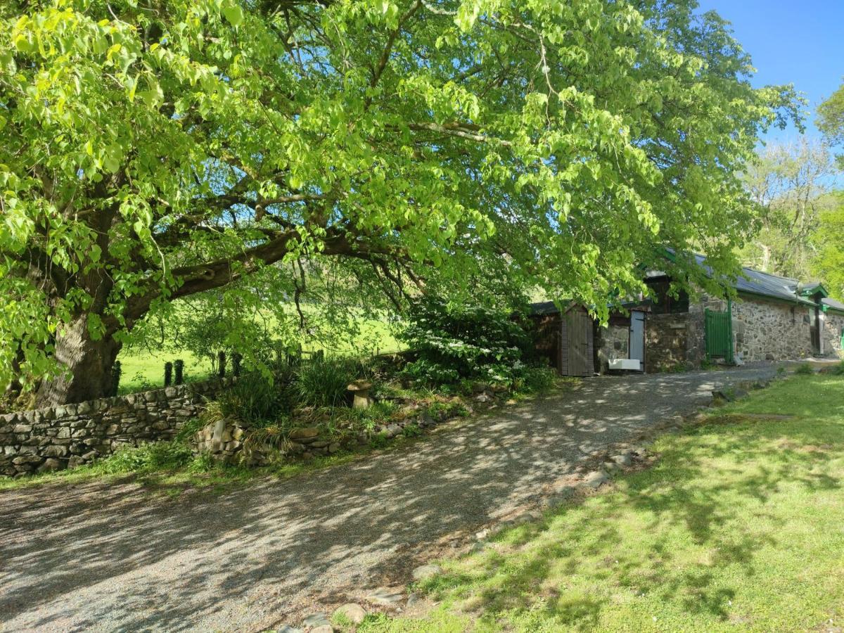 Y Gribyn - Modern Stone Cottage Within Snowdonia'S National Park Dolgellau Zewnętrze zdjęcie
